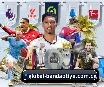 半岛体育 APP | Bandao Sports